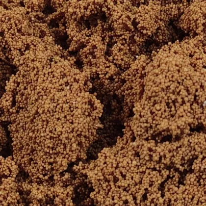 Polymeric Adsorbent Resin for Organics Removal