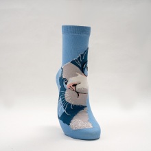 Лэдзі мультфільмы шкарпэткі