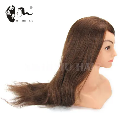 professional salon tools cheap hair mannequin head with shoulders