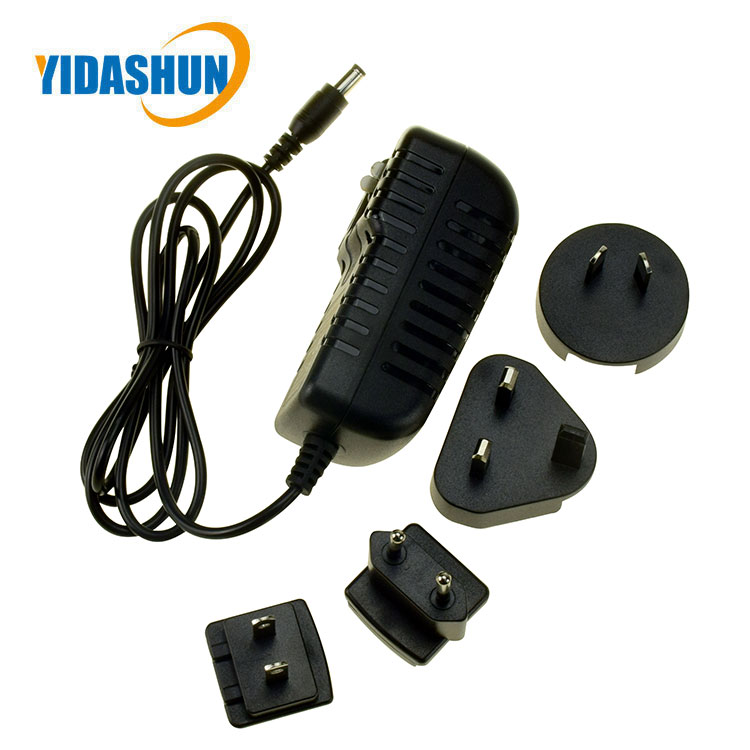12V 2A interchangeable plug adapter (7)