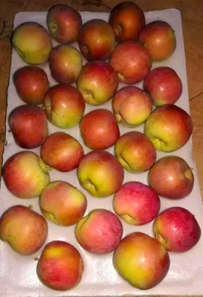 Unbagged None-bagged Fuji Apple
