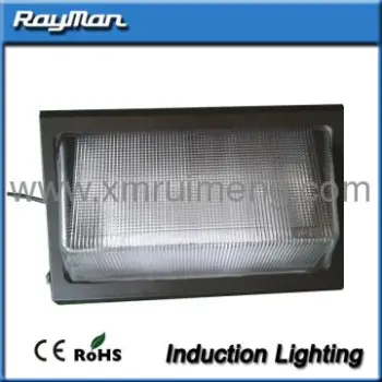 Die-casting Aluminum wall mounted flood light