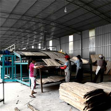Core Veneer Dryer of Plywood Making Line
