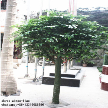 Q090626 hot new products for 2014 fake live ficus tree ornamental banyan tree bonsai