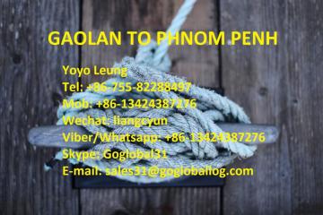 Zhuhai Gaolan Sea Freight to Cambodia Phnom Penh
