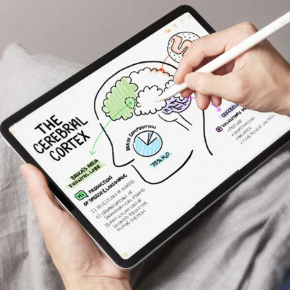 Paperlike PET Matte Screen Protector for iPad