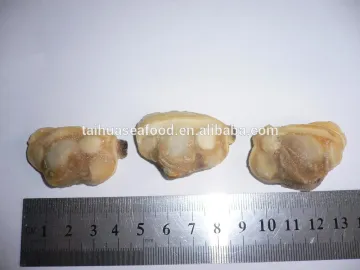CLAM MEAT IQF SHORT NECKED CLAM MEAT PRODUCTS