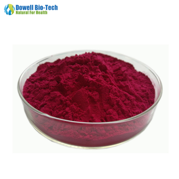 High Quality Pure Red Beet Root Juice Powder