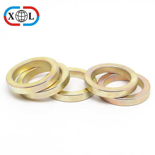 Radial Ring Magnet For Motor Product