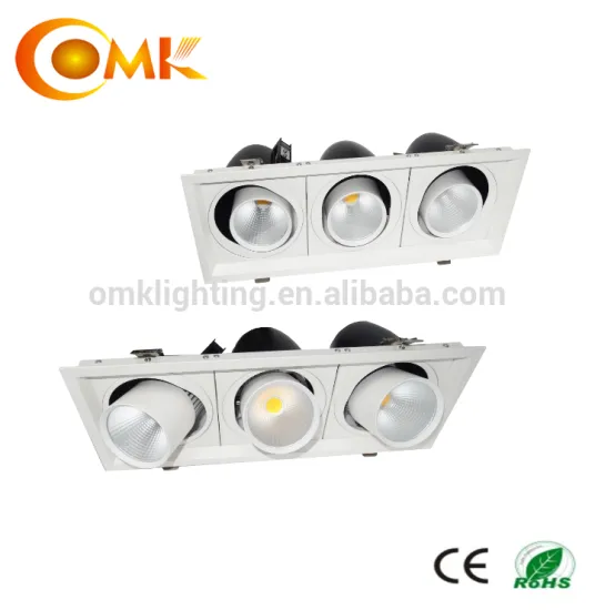 High power multiple heads raising and falling LED downlight OEM