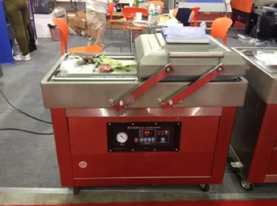 DZ600/2C Vacuum Packaging Machine