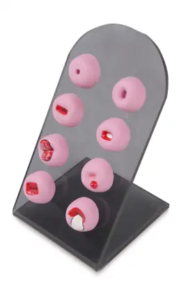 Cervical Lesions Demonstration Model