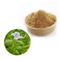 Natural Purslane Leaf Extract Pure Purslane Extract