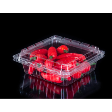 Disposable Vegetable Clamshell Plastic Packaging