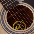 Μάρκα Mollo Guitar Direct Sales Acoustic Guitar