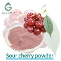 Функциональные составы порошка сухофруктов Sour Cherry Spray