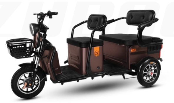 H3 (Leisure Electric Tricycle)