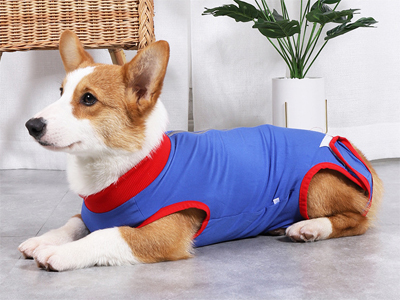 Pet Spring And Summer Wear