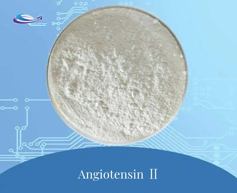 Angiotensin II acts directly on the hypothalamus to stimulate what