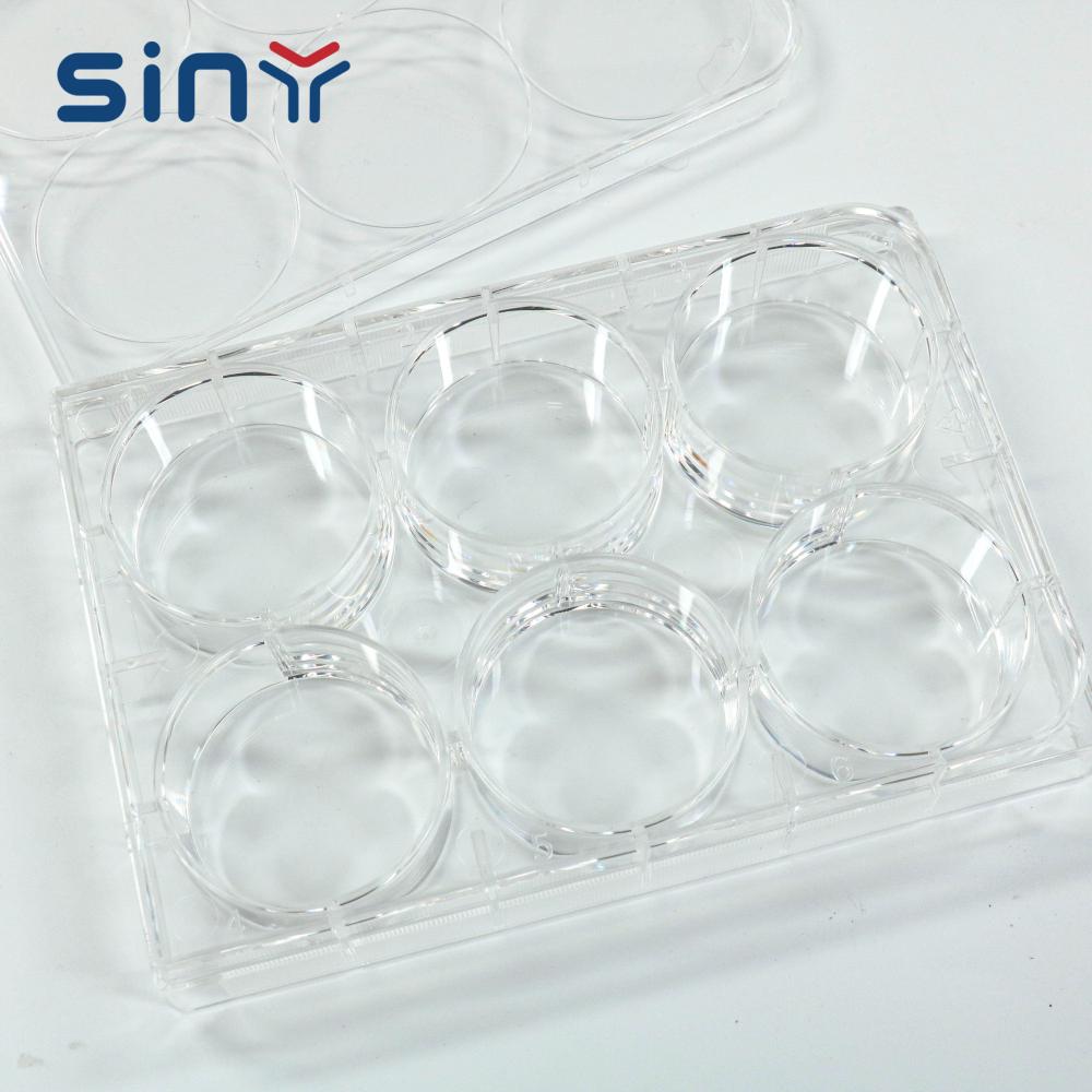 6 Well Cell Culture Plate