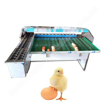 Egg Grading Machine Price: Automatic Vacuum Egg Grade and Sorting Machine