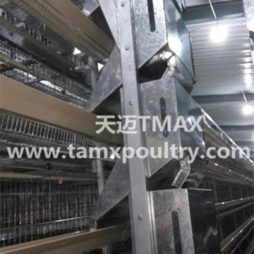 Automatic Chicken Feeding System Shuttle Feed Dispenser