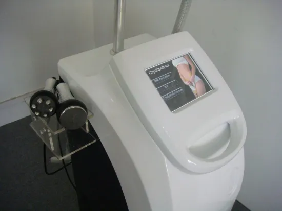 Coolsculpting Freezing Fat Cryolipolysis Machine Leg , Arms Fat Removing