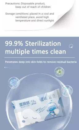Eco-Friendly Wet Toilet Paper and Wet Wipes Wholesale Manufacturing Machines