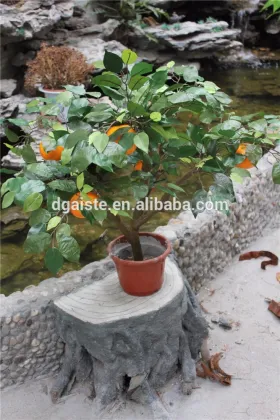 plastic pvc potted fruit tree bonsai orange tree bonsai for gardening