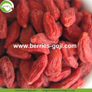 Kup hurtowo Fruit Sweet Eu Standard Goji Berry