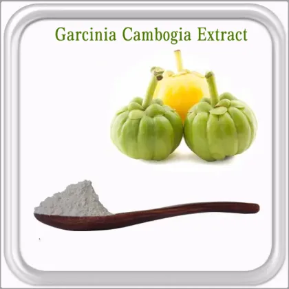Loss weight hca garcinia cambogia extract