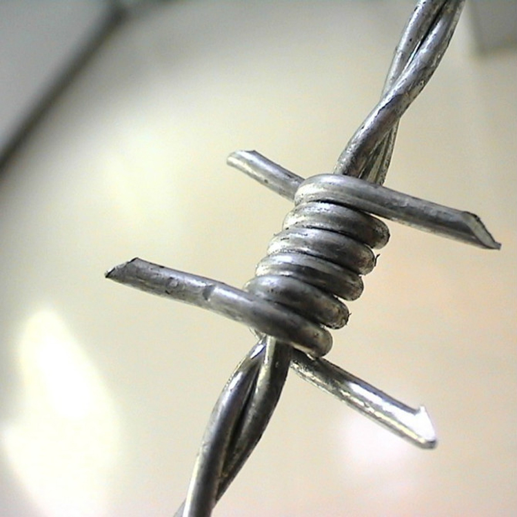 standard weight barbed wire of barbed