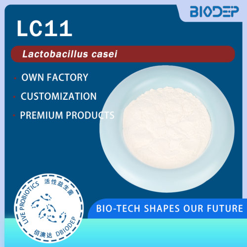 Lactobacillus casei ad alta purezza 400 miliardi di CFU/g