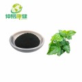 Mulberry Leaf Extract Sodium Copper Clorofilina em pó