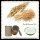 Enzymolysis Oat Powder for meal replacement or milk