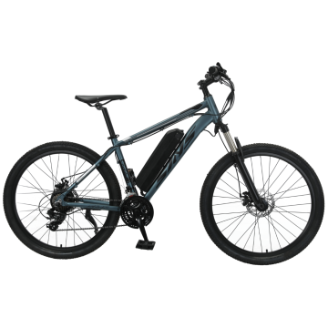 TW-9-1electric City Bike Bicycle Mtb