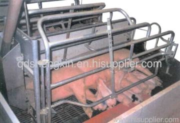 Pig Project Farrowing Crate 