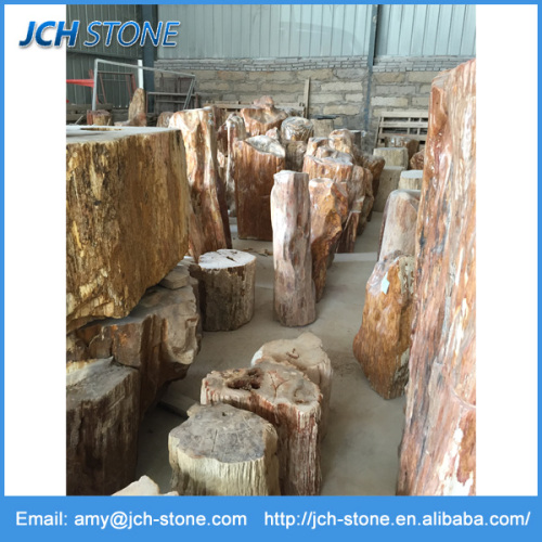 Landscaping stone fossil wood stone