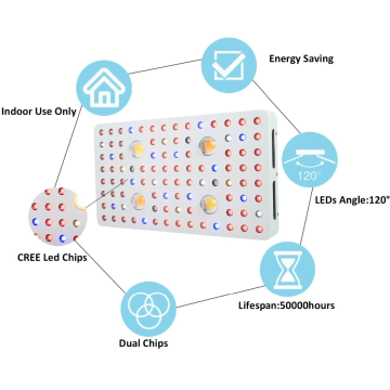 가장 인기있는 COB 크리어 LED 성장 조명