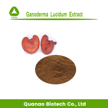 Reishi Ganoderma Lucidum Extract 50% Polysaccharides Powder