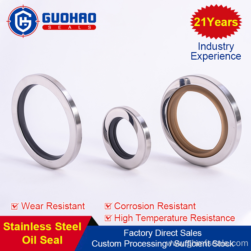 Ptfe Double Lip Stainless Steel Hydraulic Oil Seal