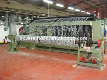 Galvanized and PVC coated Hexagonal wire mesh