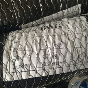 hexagonal wire mesh