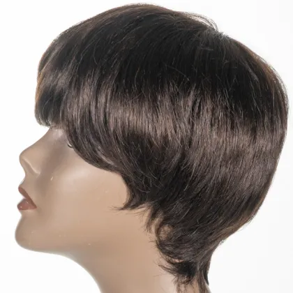 Lan-Daisy Hair Front Natural Cuticle Aligned Machine Made Malaysian Hair Bob Wig Short Curl  Virgin  Hair for Wholesale