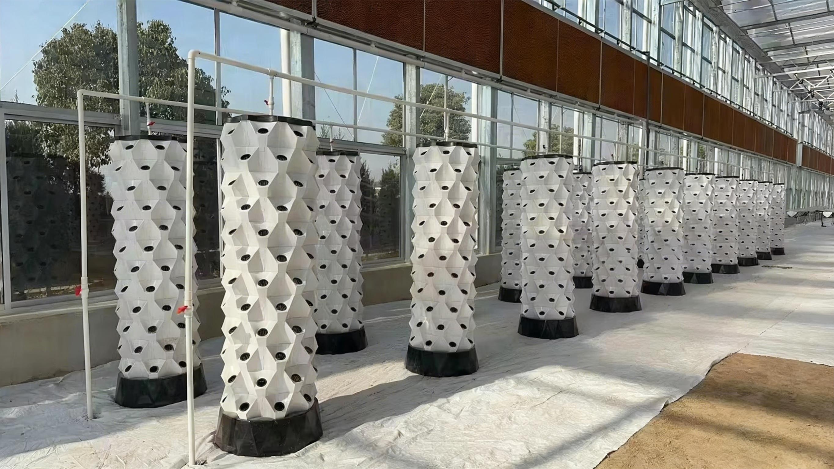 default name default name