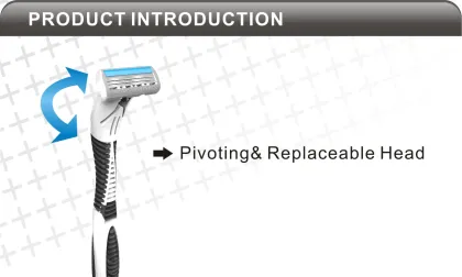 Popular System Razor Compete with Wilkinson