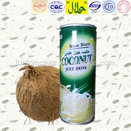 sweet plant protein beverage kelapa beverage