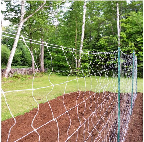 Mesh Square Mesh Trellis