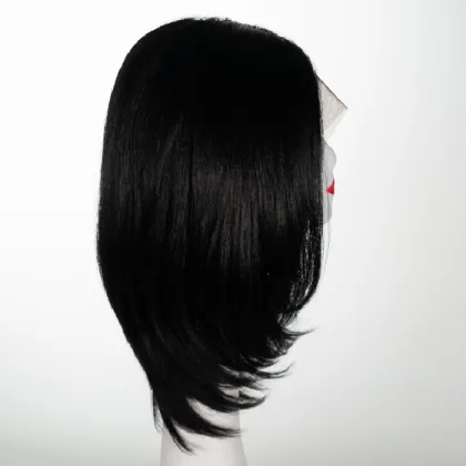 LAN DAISY wigs human short hair lace front for women  Lace Human Hair Wigs