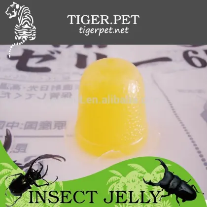 OEM and ODM wholesale pineapple flavor pudding jelly